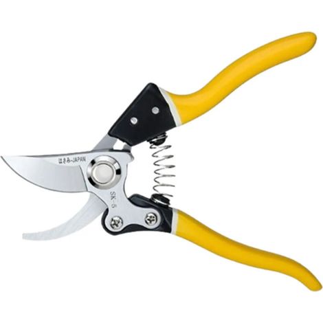 Pinces professionnelles pour la taille des branches darbres fruitiers