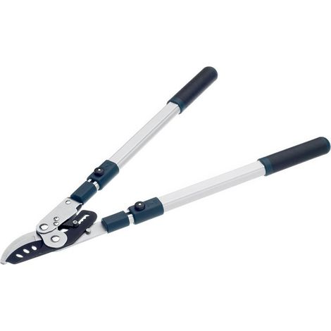 Bulldog BD3113TW BD3113TW Evergreen Extending Bypass Loppers BULBD3113TW (1/5)