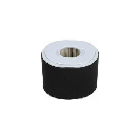 Filtre de Filtre à air de Tondeuse Compatible avec Honda GX390 GX340 11 13 HP