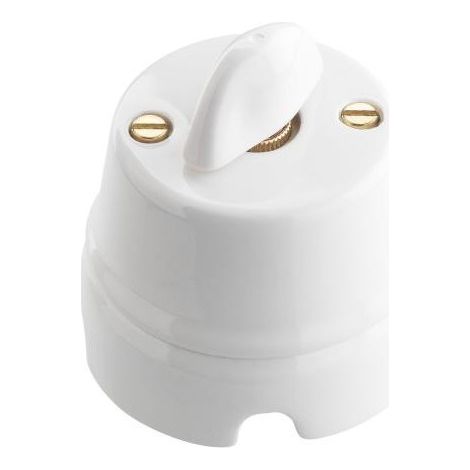 Interrupteur rotatif D.70 mm 10 A 250 V PRG5971