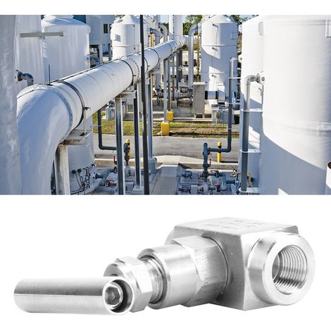 Vanne à aiguille droite en acier inoxydable BSPP à filetage femelle pour la transmission d'eau (3/8 po) (1/5)