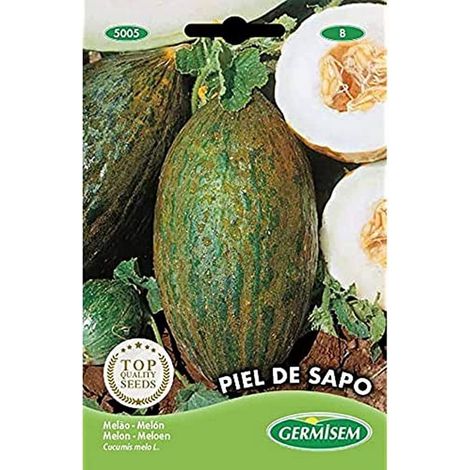 graines Melon PIEL DE SAPO (1/2)