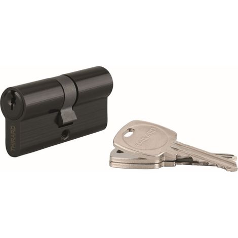 Cylindre STD double entrée, 40 x 40 mm anti-arrachement, noir, 3 clés - (1/2)