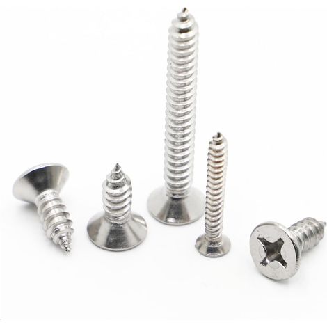 50 vis autotaraudeuses micro-petites en acier inoxydable à tête fraisée cruciforme Phillips (4 mm,