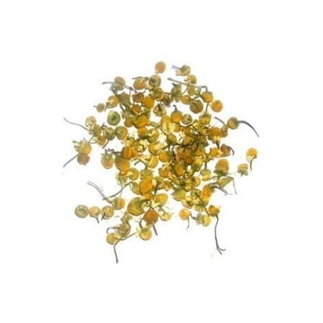 Têtes de camomille (1kg)- Vendu par 1 (1/2)