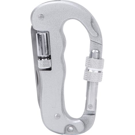 Mousqueton en acier inoxydable en forme de D, boucle portable, dégaines rapides, outil de camping (1/5)