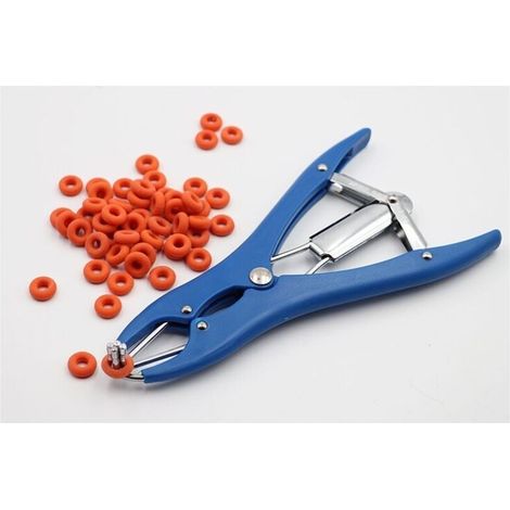 Abrazadera elástica de castración de acero inoxidable para ganado vacuno, porcino y ovino, cinturón, 100 anillos de goma, 21,5 cm, azul (1/4)