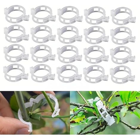 100 Stück Pflanzenclips für Rankhilfe, Pflanzklammern für Tomaten, Gurte, Weinreben & Kletterpflanzen, Pflanzenclips zum Anbinden und Fixieren (Grün) (1/5)