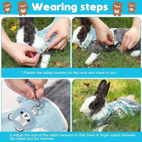 Harnais et laisse pour lapin réglable motif ours mignon (1/5)