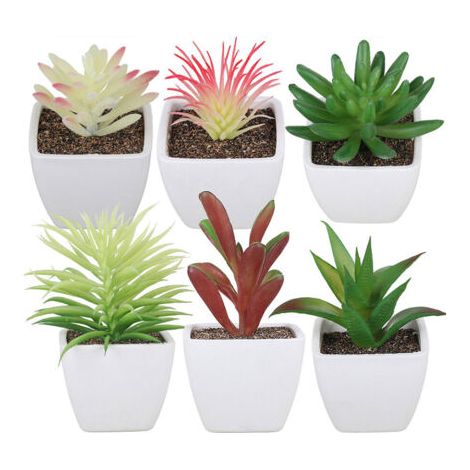 BUNTHAUS Pot carré en plastique pour plantes succulentes, ensemble de 6 pièces, Simulation de décoration de maison, ensemble de bonsaï pour plantes succulentes (1/5)