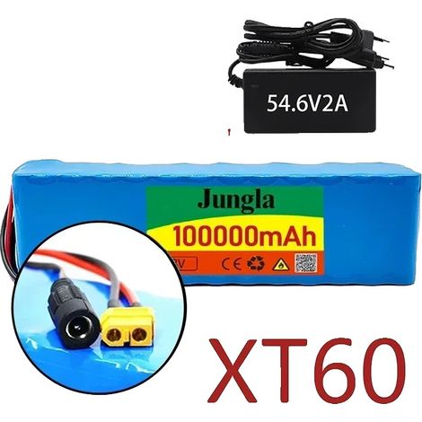 Pacco batteria agli ioni di litio, capacità 100 Ah, protezione BMS, caricabatterie XT60-DC (1/2)