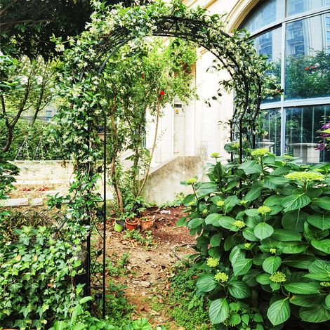 Arche de Jardin en Métal pour Plantes Grimpantes Treillis de Jardin en 2 Demi-arcs Extérieur 150x39x250CM Arche Décorative pour Fête Noir (1/3)