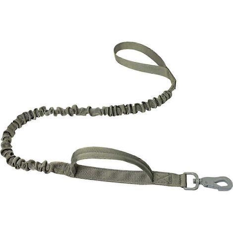 Laisse élastique pour chien, laisse de promenade pour chien, laisse de dressage pour chien avec poignée, laisses pour chien portables, robustes et absorbant les chocs-Green Snap Hook (1/5)