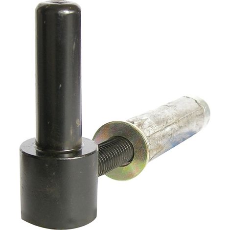 Afbat – Gond de fixation à visser avec cheville métal – Finition noire – Diamètre 16mm – Longueur 105mm – Pour volets en bois