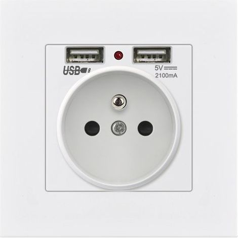 1 pièce Prise Murale Encastrable Double USB 5V 2.1A – Prise Électrique Norme Française avec 2 Ports USB (1/5)