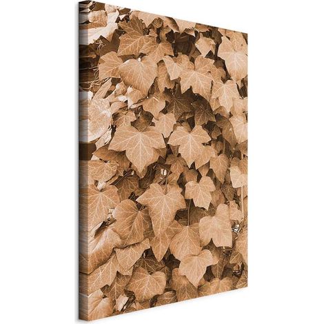 Quadro - Edera autunnale (1 pezzo) verticale (1/5)