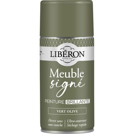 Peinture meuble Vert olive brillant 300 ML (1/3)