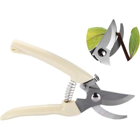 Filiyano-1 paquet de cisailles de jardin, ciseaux, arbres fruitiers, branches, fleurs (1/4)