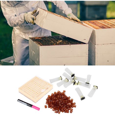 Imker-Aufzuchtset mit Bienenzuchtbechern, Schutzkäfig für die Königin, Imkerausrüstung und Werkzeugen (1/5)