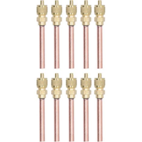 Vannes d'accès de remplissage de cvc 1/4SAE, 10 pièces, clapet anti-retour en laiton pour climatiseur R22 R12 R134.