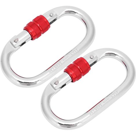 Lot de 2 mousquetons de sécurité chromés 25 kN pour l'alpinisme et l'escalade en extérieur. (1/5)