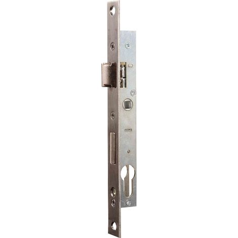 Bricard – Serrure multipoint encastrée 27 mm – Axe 17 mm – Pêne réversible pour menuiserie métallique – Sécurisation portes d'entrée et service (1/4)