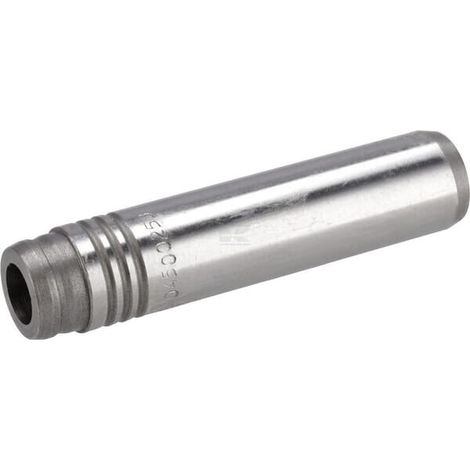 Guide de soupape DEUTZ 04500253 (1/2)