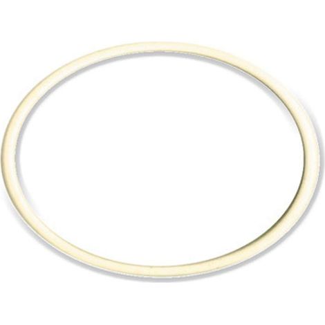 Guarnizione per filtro depuratore seagull ricambio originale its todini 10.54