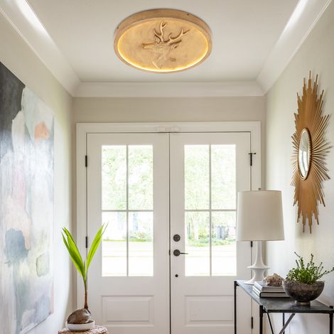 Plafonnier LED rond de 50cm, plafonnier encastré de 31W avec silhouette de cerf réaliste 3000-6000K, Luminaire (1/5)