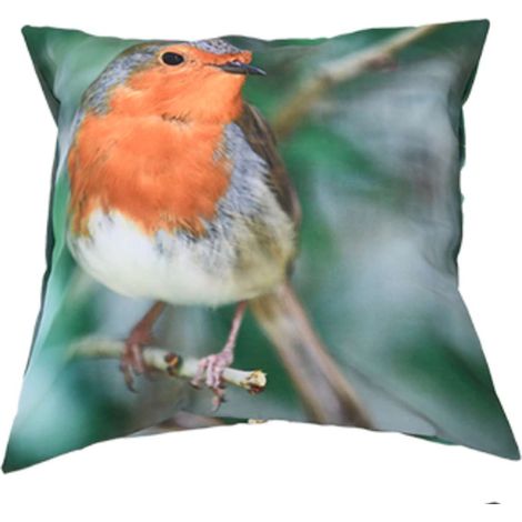 Esschert Design Outdoorkissen S mit Rotkehlchenmotiv 40 x 40 cm aus Polyester