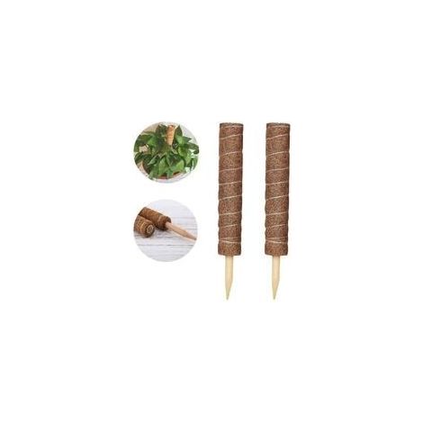 2 Pièces Tuteur Plante,Tuteur Coco, Poteau De Coco, Bâton De Coco pour La Maison Jardin Plante Grimpantes Extension De Support De Plante (1/5)