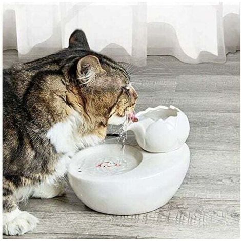 Fontanella - Ceramica - Con loto verticale e filtro automatico - Ideale per gatti e animali domestici - Bianca