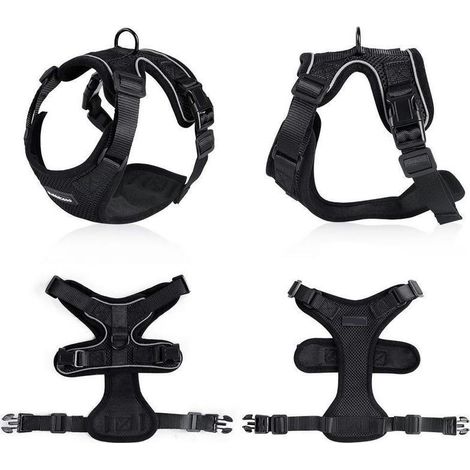 Harnais anti-fugue pour chat, utilisable également comme harnais pour lapin, harnais pour petit chien, accessoire indispensable pour chat, harnais noir pour chat taille XS (1/4)