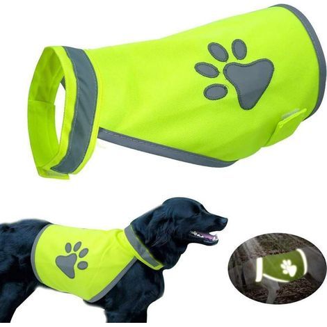 Chien Sécurité Réfléchissant Gilet, Haute Visibilité Vêtements Petit Grands Chiens Sécurité Harnais Vestes pour Extérieur Randonnée Marche avec Imprimé Patte , m