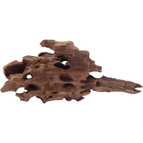 M Honey Comb Wurzel Nr.5199 Holz Deko Aquascaping