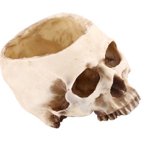 Kunstharztopf mit Totenkopfmotiv – Originelle Dekoration – Für Sukkulenten oder Kakteen – Ideales Geschenk für Haus oder Garten