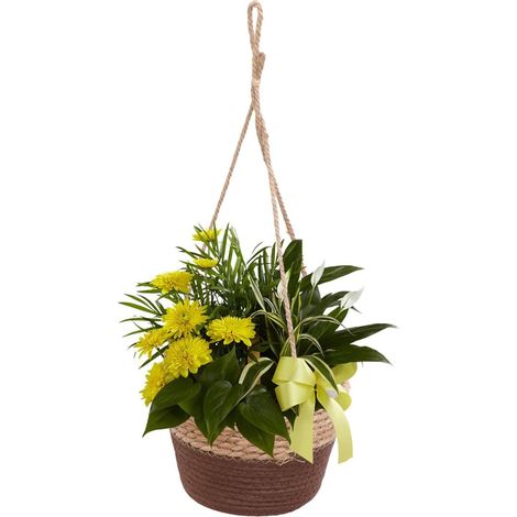 Panier Suspendu en Paille Tissée pour Pot de Fleurs Succulentes, Support Décoratif Vintage en Paille, Résistant la Décomposition, pour Intérieur et Extérieur (1/5)