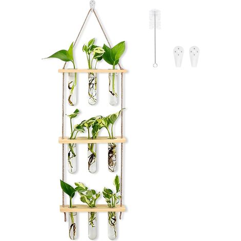 Station de propagation murale pour plantes hydroponiques - Vase à essai suspendu à 3 étages avec 10 tubes à essai, 2 clous non marquants, 1 pinceau (couleur bois naturel) (1/5)