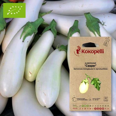 Aubergine Casper