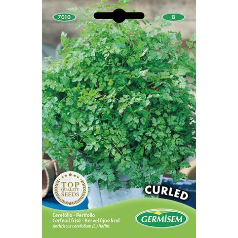 Graines de Cerfeuil 10 g EC7010 Multicolore (1/2)