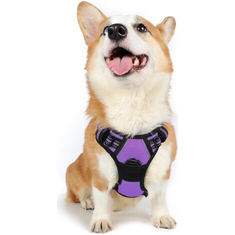 Harnais Chien M Arnais Violet Anti Traction Réfléchissant Gilet Réglable pour Chien Grand Taille, Attache Devant Crochet de Laisse pour Randonné Trajet Voiture, American Staff, Border Collie-Ensoleill (1/5)