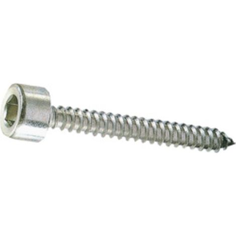 VITE P/FERRO AUTOFILETTANTE TCEI 4,8X 60MM ZINCATA Q.TA 2