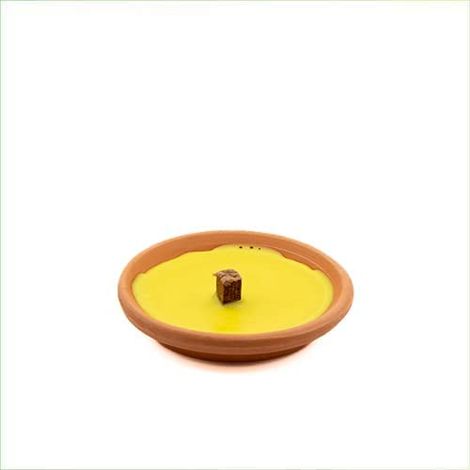 CERI CITRONELLA CERO IN VASO COCCIO TERRACOTTA DIAMETRO 11 CM 1PZ (34619) (1/2)