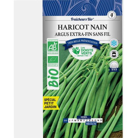 Graines haricot nain argus BIO Les Doigts Verts 30g