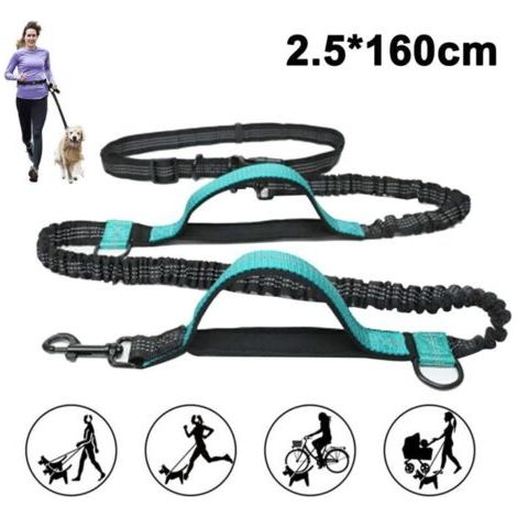 Pair Les amoureux de chien Joggingleine pour les Chiens de grande taille à partir de 15 kg Élastique Freihandleine avec une légère Ceinture Amovible en Laisse avec 2 Boucles souples Orange Longe (16 (1/5)