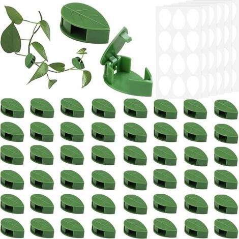 Lot de 60 supports muraux autocollants pour plantes grimpantes - En acrylique invisible - Pour le jardinage, le soutien des Lierre vert plantes (1/5)