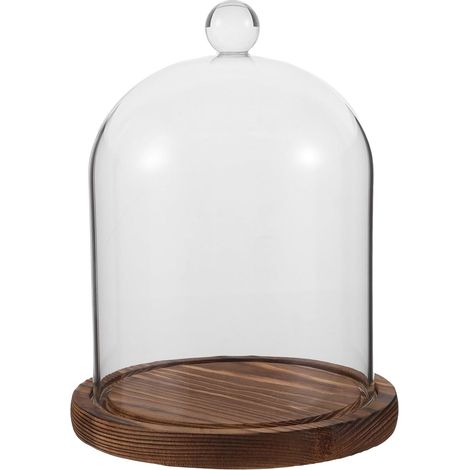 Cloche Verre Transparent avec Base pour Fleurs Pot ou Gâteaux Dôme de Présentation pour Intérieur (1/5)