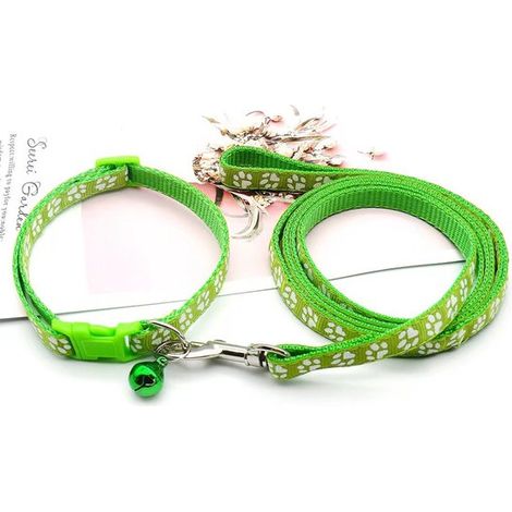 Welpenhalsband mit Leine, verstellbare, weiche Nylon Hundeleine für Welpen und kleine Hunde, 1,2 m lang, Himmelblau