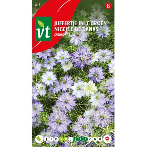 Nigelle De Damas Indigo Et Light Blue Mix - Ca. 1 gr (Livraison (1/2)