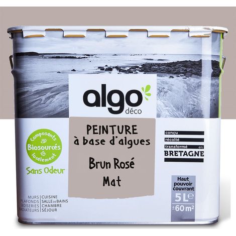 Peinture écologique Algo - Mat - Brun rosé - 5L (1/5)